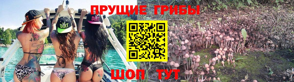 Галлюциногенные грибы Psilocybe  Галлюциногенные грибы Magic Shrooms  Вход с VPN  Нижнекамск 