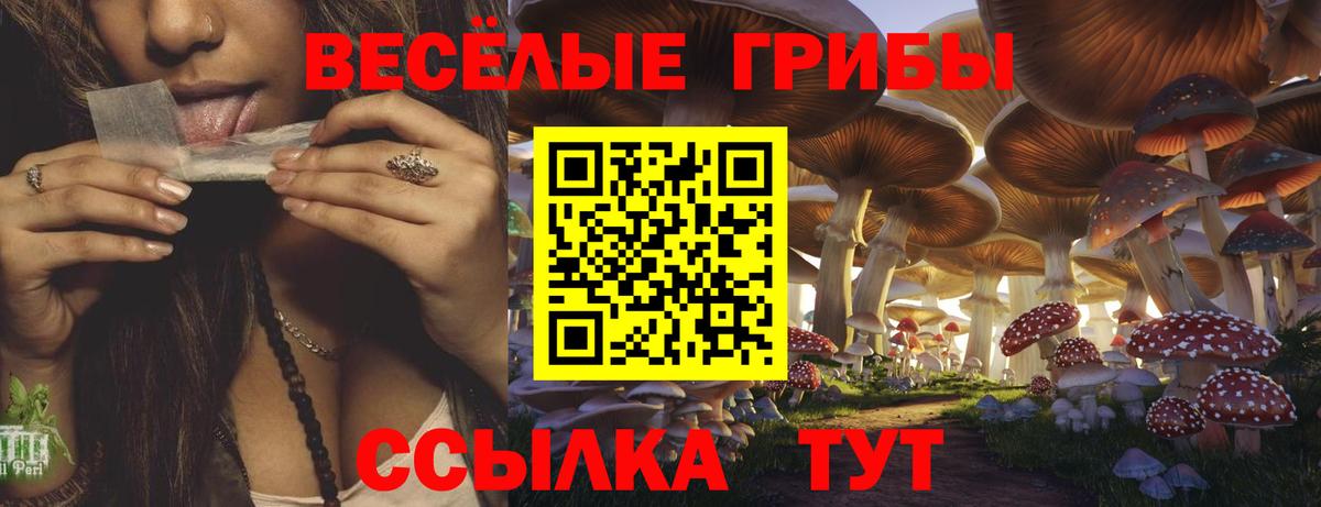 Псилоцибиновые грибы прущие грибы Нижнекамск